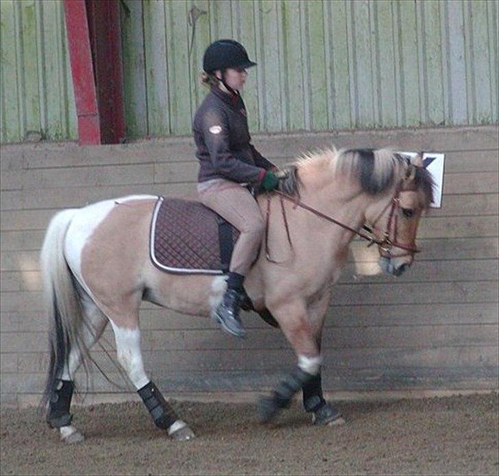 Anden særlig race Emma Merci (Min prinsesse) mit et & alt<3 - Halløjsa, velkommen til Emma's profil. Vi vil blive glade for en lille hilsen! :D

Foto: Malene O
Påsken 2012 billede 1