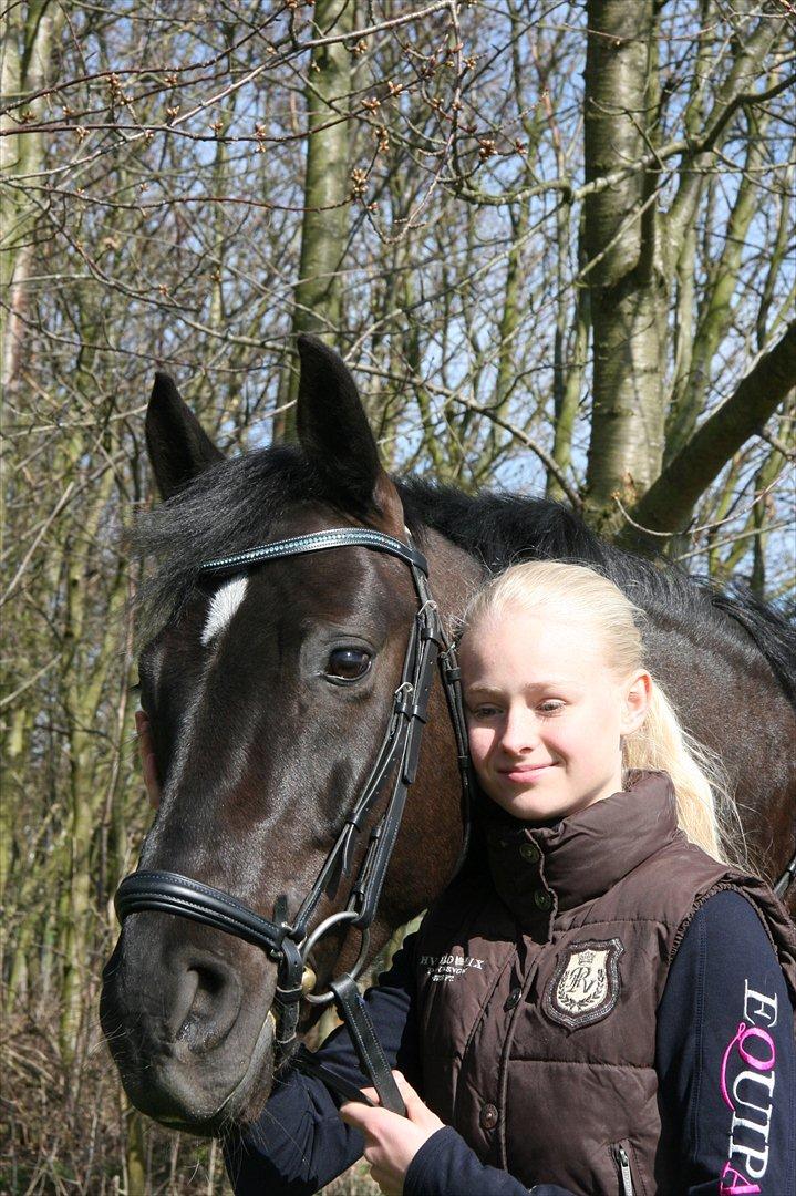 Dansk Varmblod Jubi´s Sans Souci - <3 billede 5