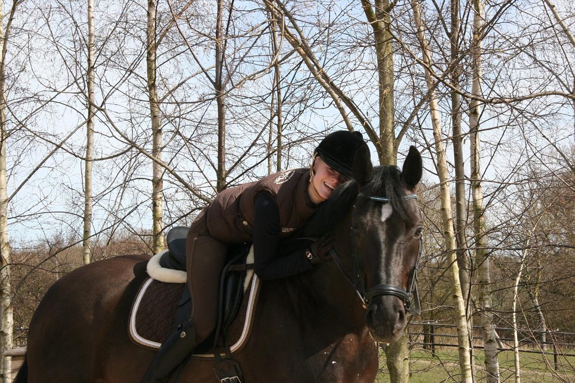 Dansk Varmblod Jubi´s Sans Souci - Jeg elsker dig Jubi<3<3<3 billede 7