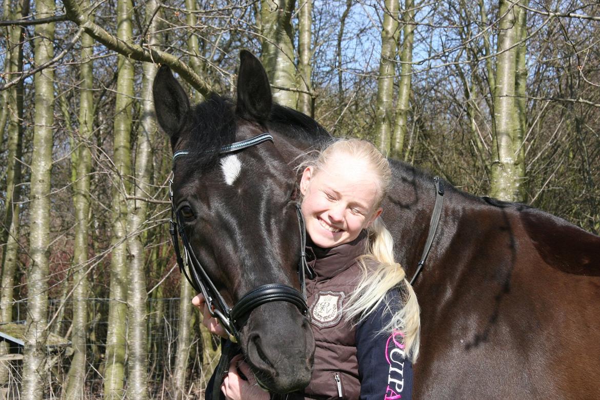 Dansk Varmblod Jubi´s Sans Souci - <3 billede 15