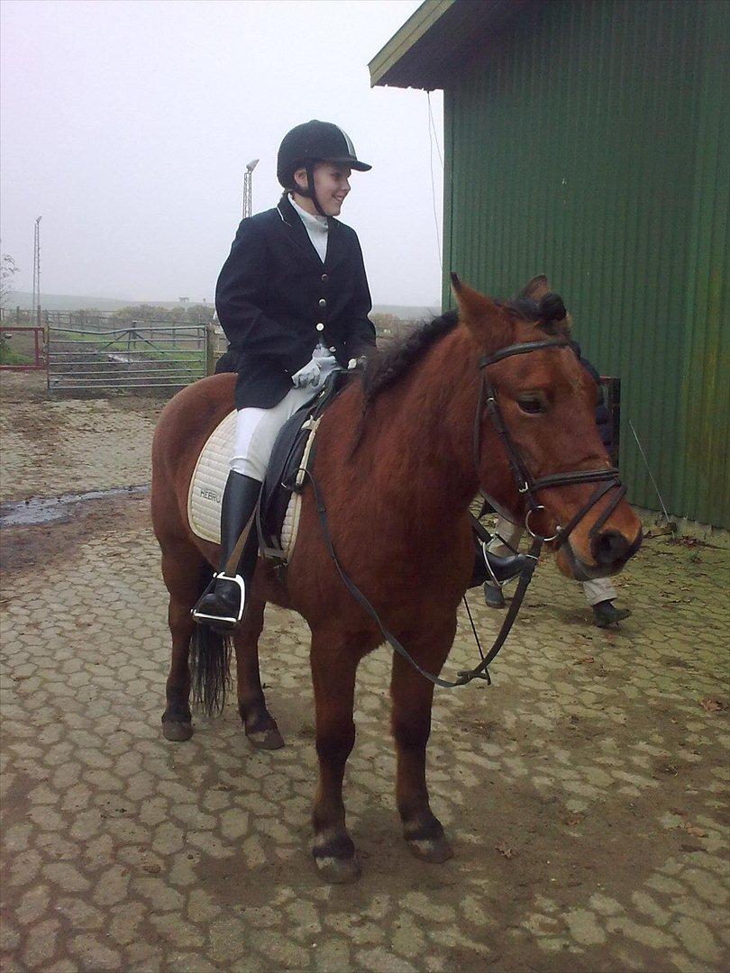 Anden særlig race gori - velkommen til Gori´s profil billede 1