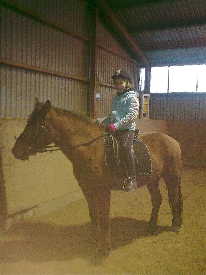 Anden særlig race gori - min veninde der lige skulle prøve Gori... billede 2