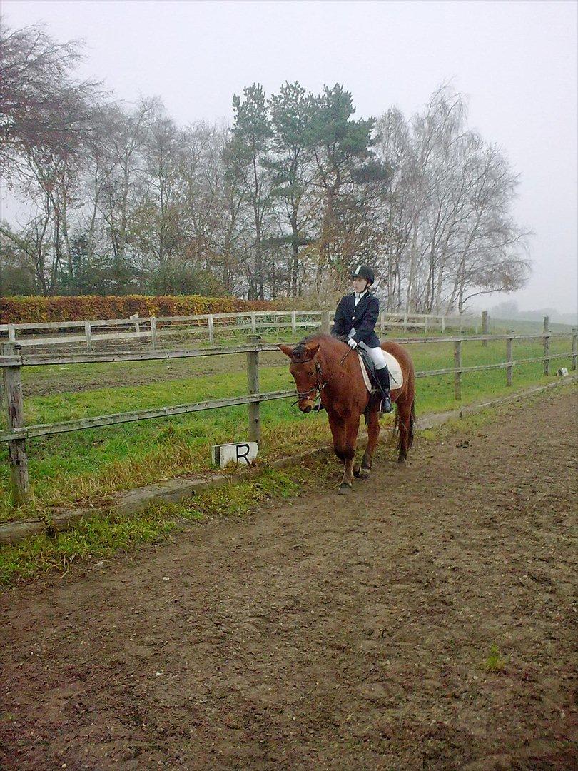 Anden særlig race gori - mig og Gori billede 4