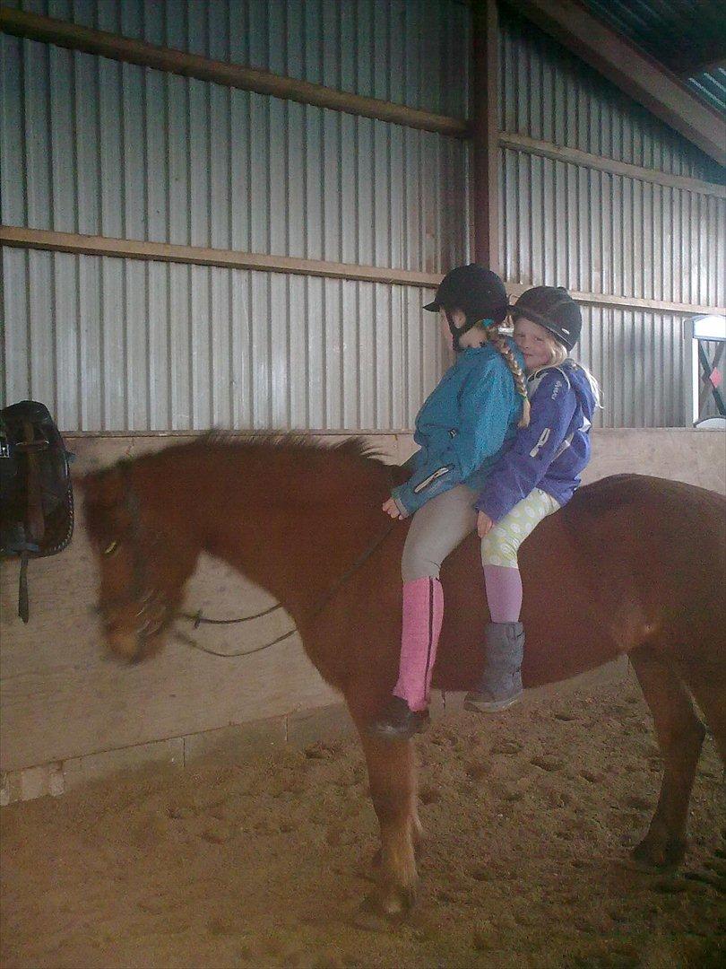 Anden særlig race gori - mig og min lillesøster hygger med Gori :o) billede 5