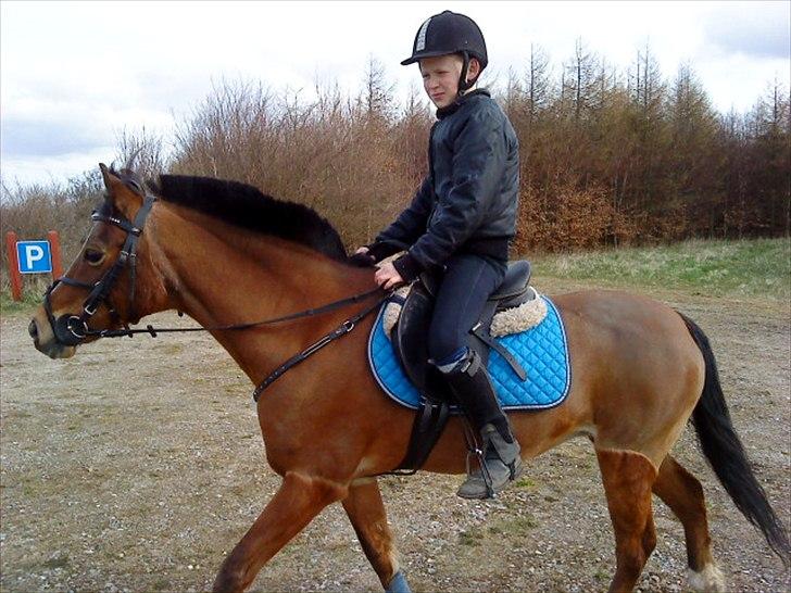 DSP Miss Tøsen *red* billede 8