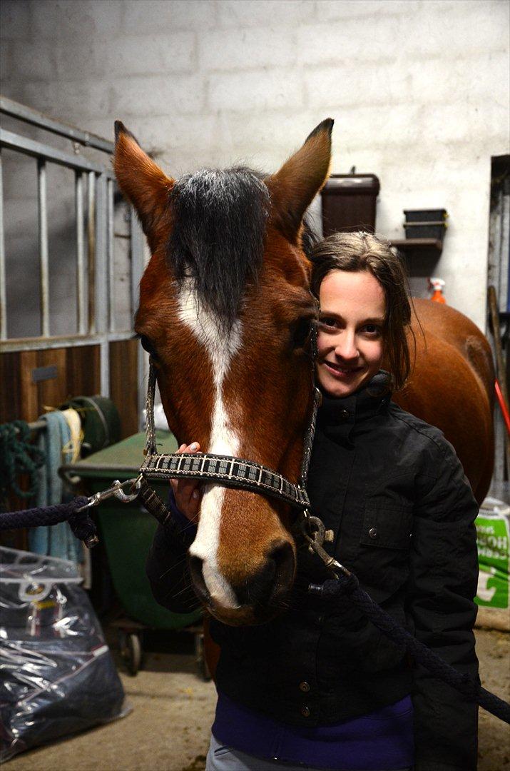 New Forest Alhedens Dianna - Lige været ude at ride. :) billede 1