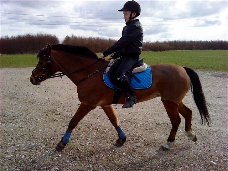 DSP Miss Tøsen *red* billede 2