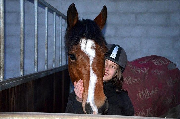 New Forest Alhedens Dianna - Lige kommet til det nye sted. Hun virker vidst ok med det.. ;) Haha. billede 3