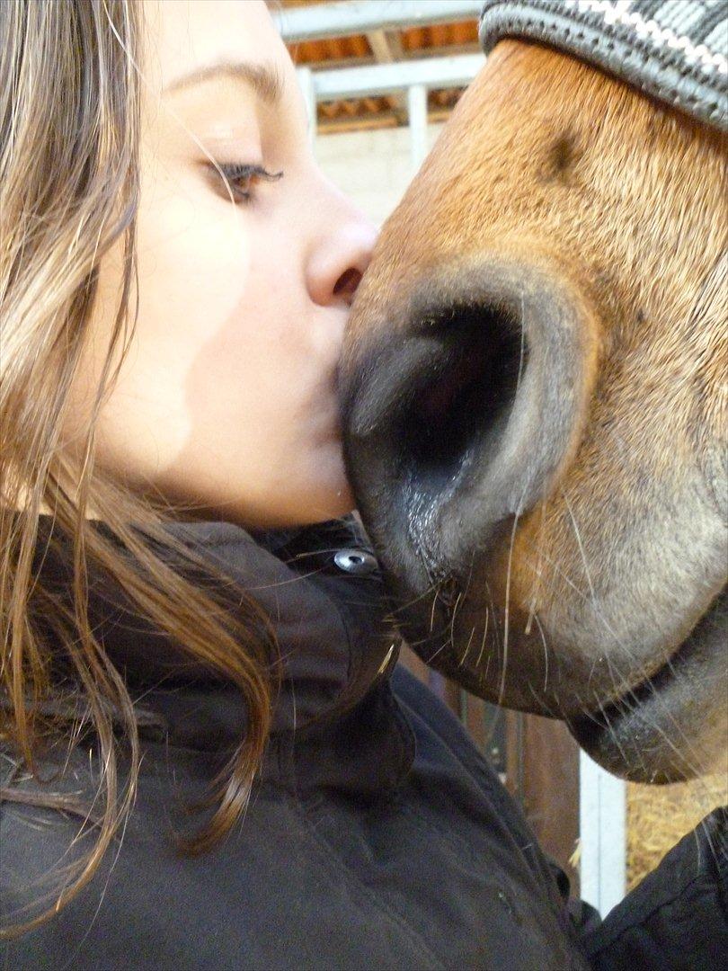 New Forest Alhedens Dianna billede 9