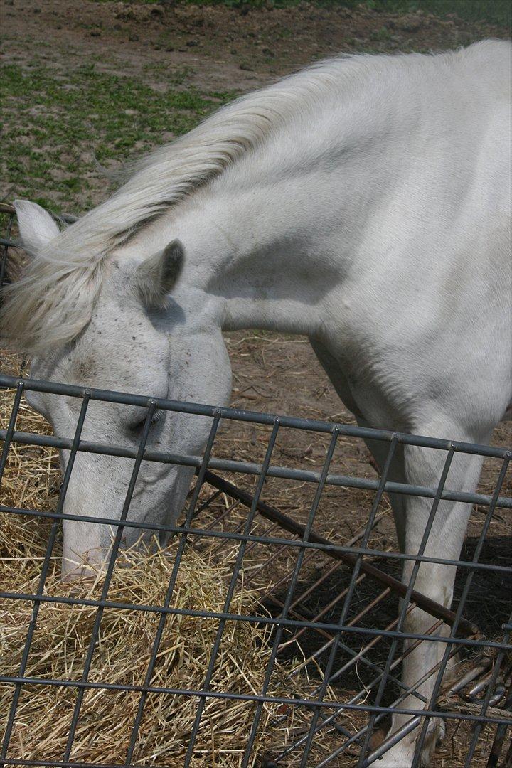 Anden særlig race  Apache  - Du var den jeg græd med, smilede med, og delte alle mine dybeste hemmeligheder med.. billede 13