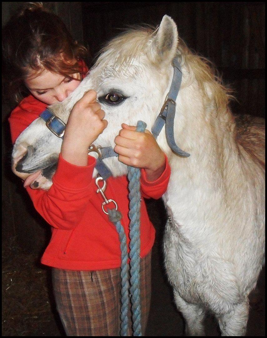 Anden særlig race  Apache  - My forever love. billede 15