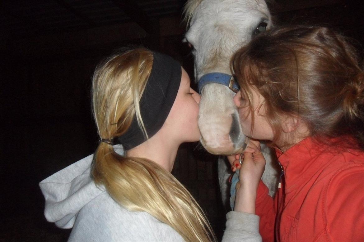 Anden særlig race  Apache  - We love you ♥ billede 1