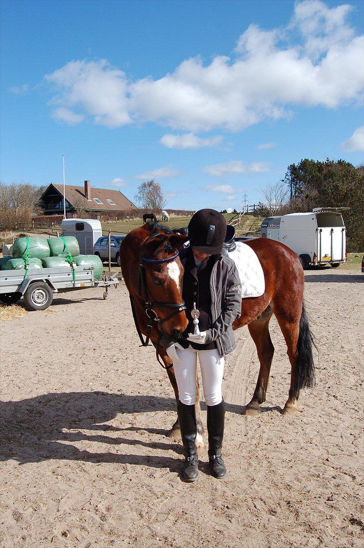 Anden særlig race Matell - Klubmester 2012, LC-Bredde 
d. 31/03 - 2012 billede 9