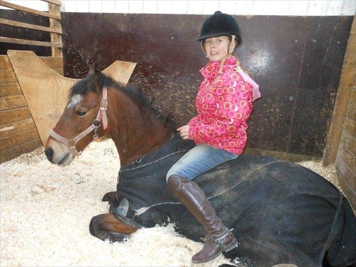 Anden særlig race Laban |*Mit ét og alt<3*| - Sidder på Laban, mens han ligger ned på komando<3 er SÅ stolt ;*♥
 billede 2