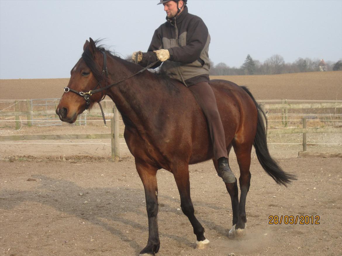 Traver Torak billede 10