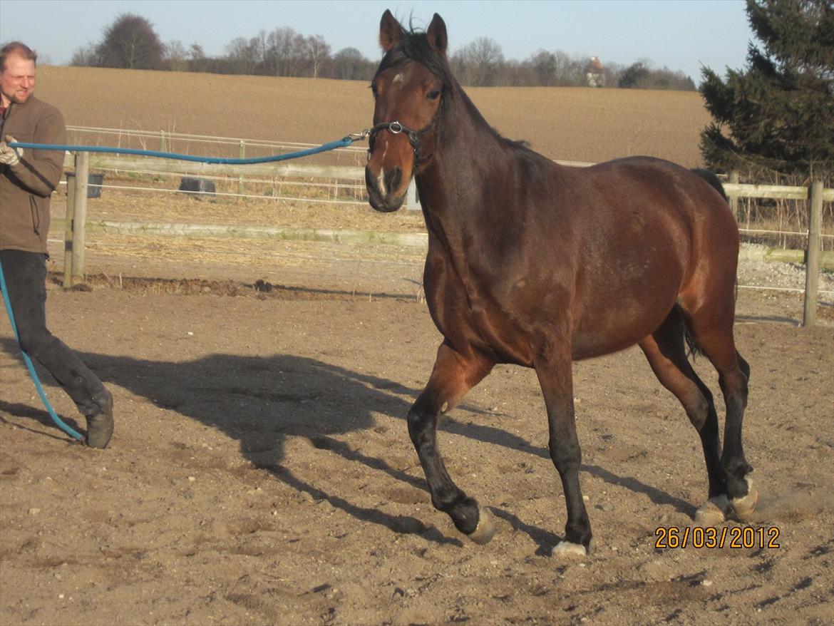 Traver Torak billede 17