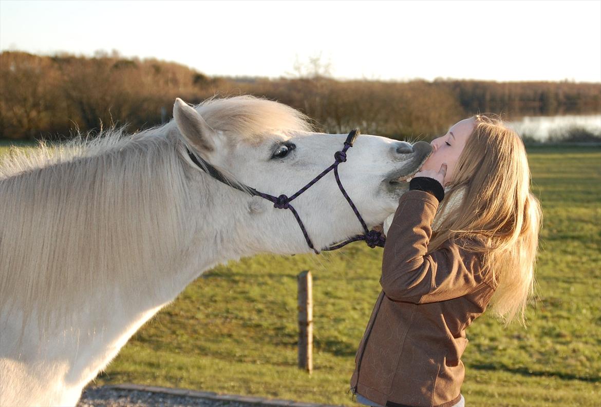 Islænder KRAFSA FRA RAVNEKROGEN |Skadet| - 1. ''You will always be the answer, when somebody ask me what I'm thinking about.'' billede 2