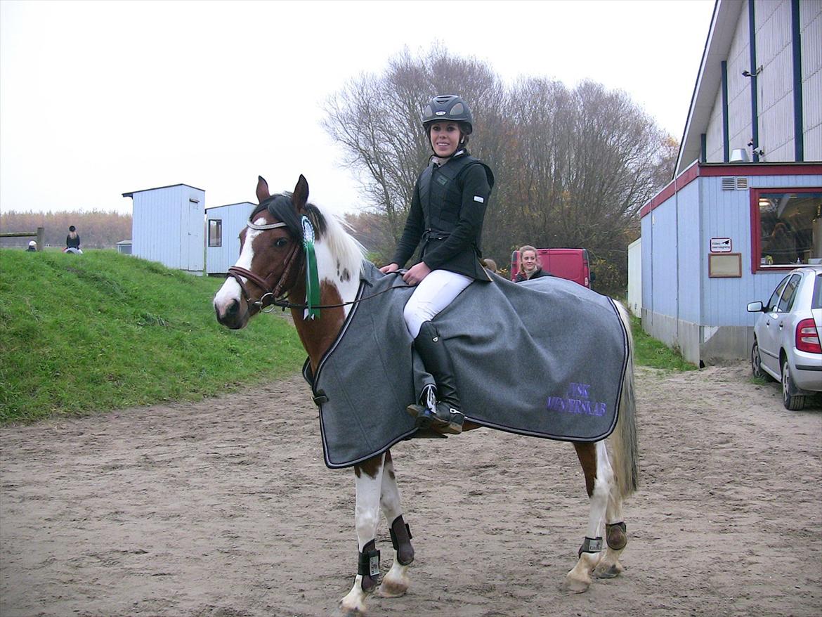 Hollandsk Sportspony Marloes- B-Pony  - 3.plads Jysk mesterskab S2**!  billede 18