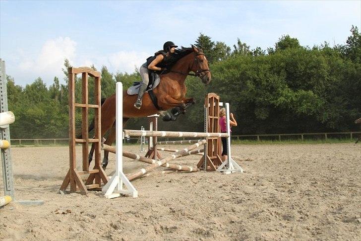 Anden særlig race Coco - Nicoline og Coco billede 4