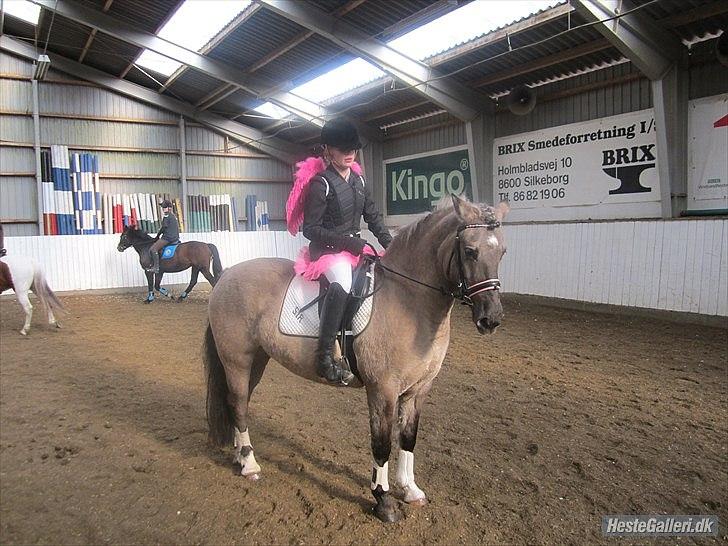 Anden særlig race S.I.R's Bertha - mig og Bertas første stævne sammen  billede 5