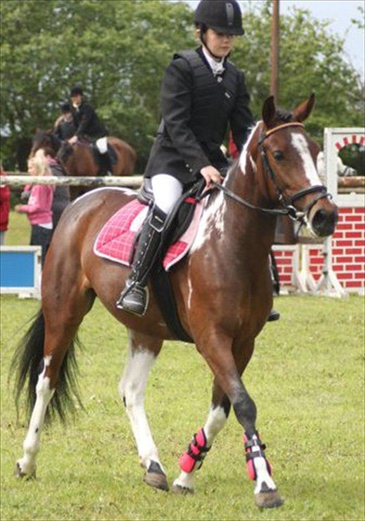 Pinto Secret Princess billede 10