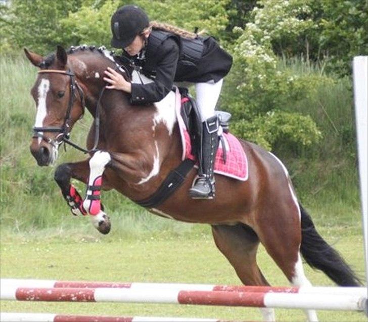 Pinto Secret Princess billede 1