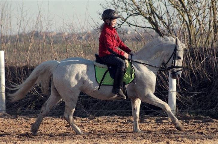 Anden særlig race Emma <3<3<3<3 - første gang på denne ridebane så sød 
foto:minna mønster billede 2