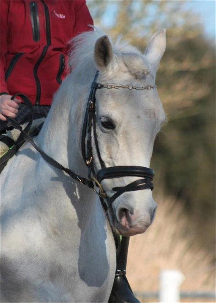 Anden særlig race Emma <3<3<3<3 - så sødt et billede 
foto:minna mønster billede 3