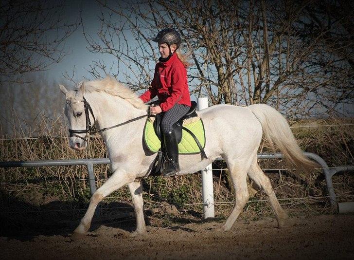 Anden særlig race Emma <3<3<3<3 - mit y. billede 
foto: minna mønster billede 4