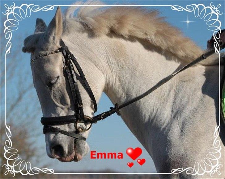 Anden særlig race Emma <3<3<3<3 - et billede jeg lavede af prinsessen billede 5