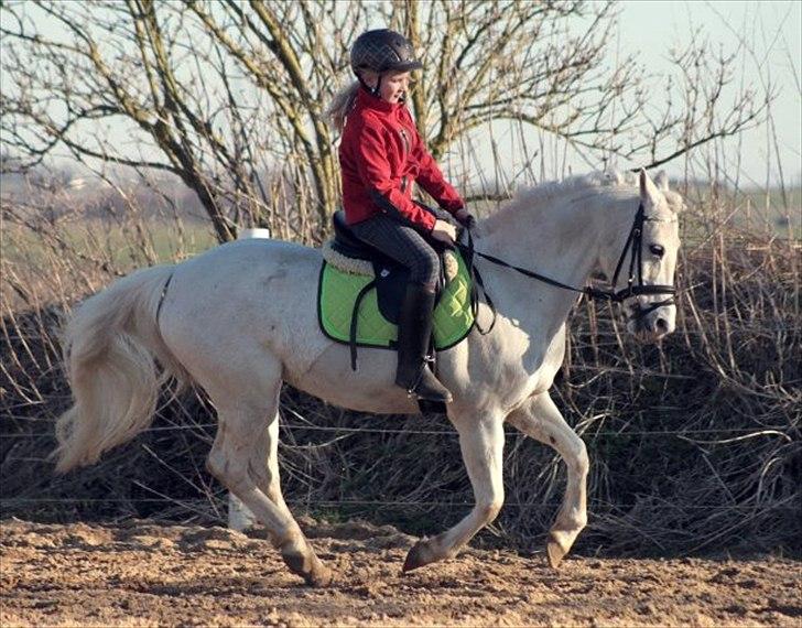 Anden særlig race Emma <3<3<3<3 - jeg stoler 110% på dig min pige
foto: minna mønster

 billede 6