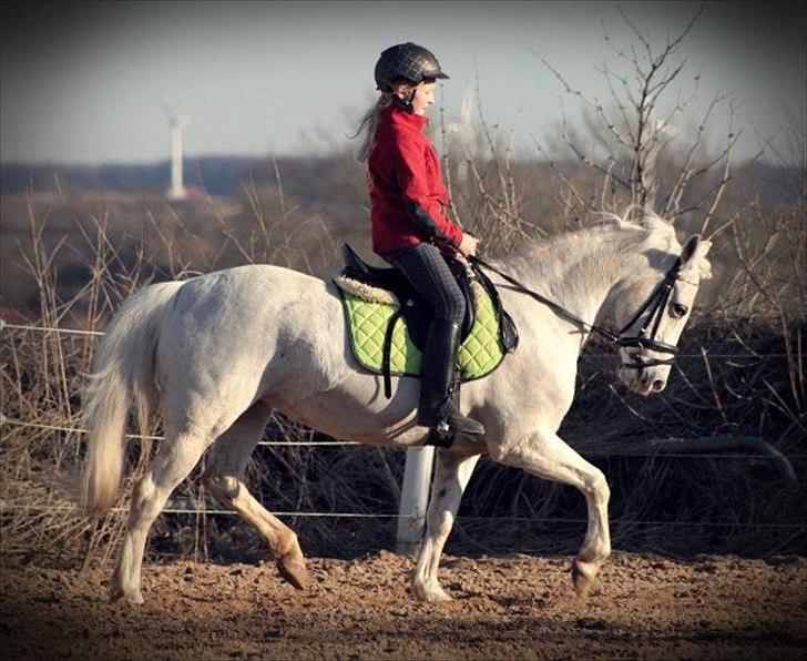 Anden særlig race Emma <3<3<3<3 - jeg elsker hende<3<3<3<3<3
foto: minna mønster billede 7