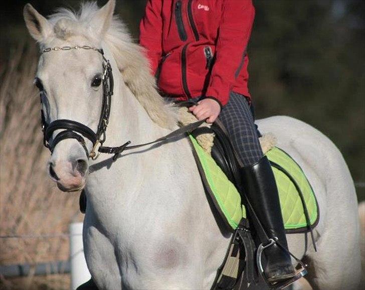 Anden særlig race Emma <3<3<3<3 - :D :D :D :D 
foto:minna mønster billede 8