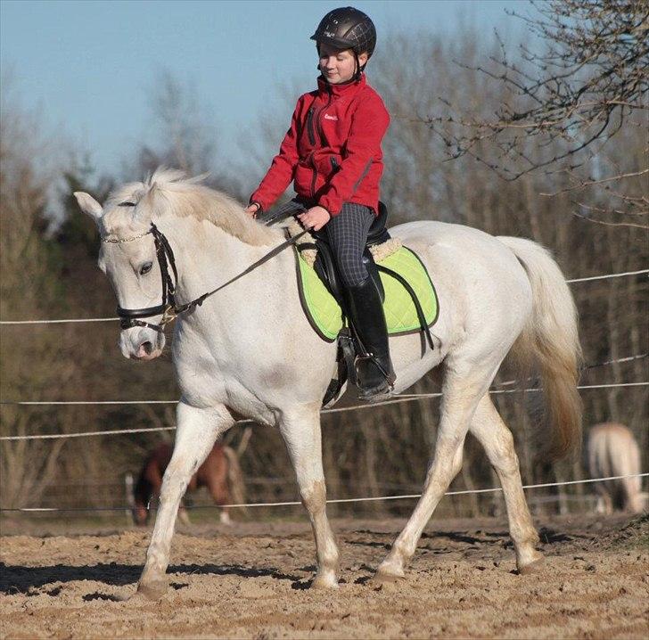 Anden særlig race Emma <3<3<3<3 - hun er den bedste pony i verden!!!
foto: minna mønster billede 9