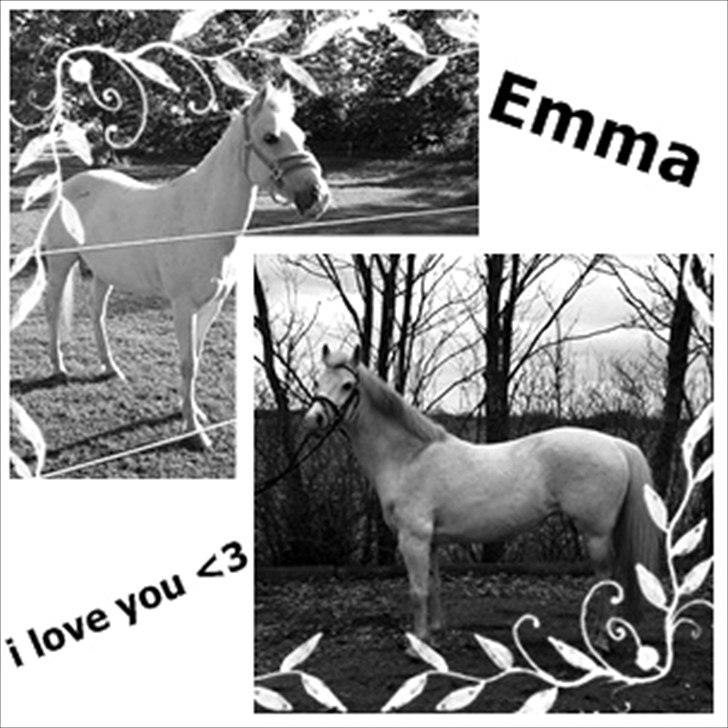Anden særlig race Emma <3<3<3<3 - et til jeg lavede af hende billede 10