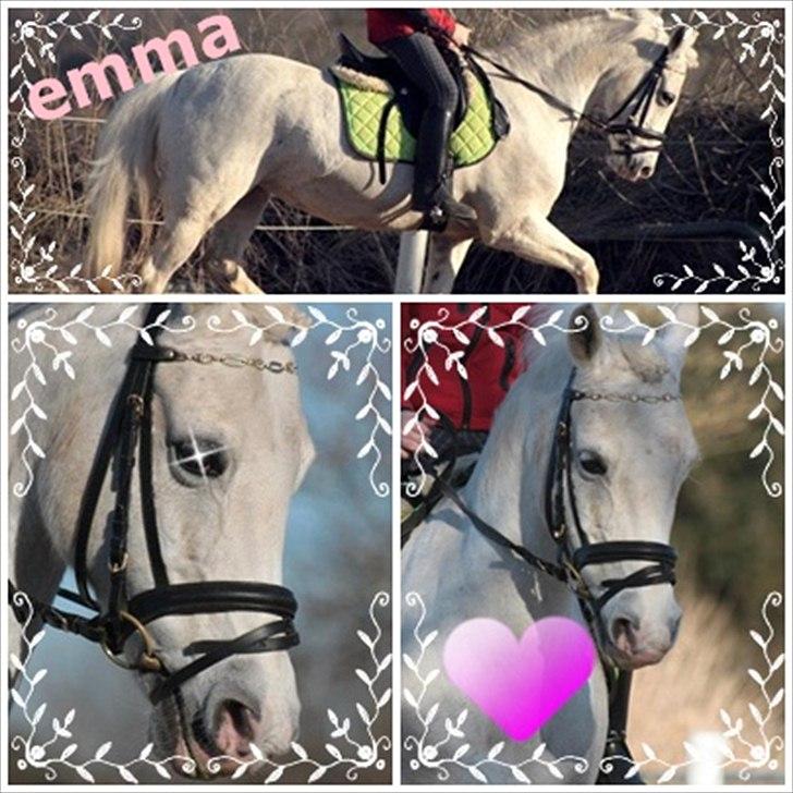 Anden særlig race Emma <3<3<3<3 - I LOVE YOU MIN PIGE!!!!!!!!!!! billede 11