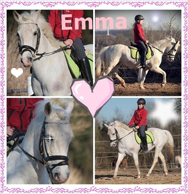 Anden særlig race Emma <3<3<3<3 - smukt <3<3<3<3
 billede 13