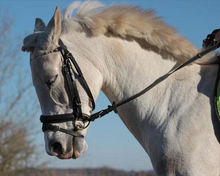 Anden særlig race Emma <3<3<3<3 - farvel håber du nød emmas profil <3 billede 14