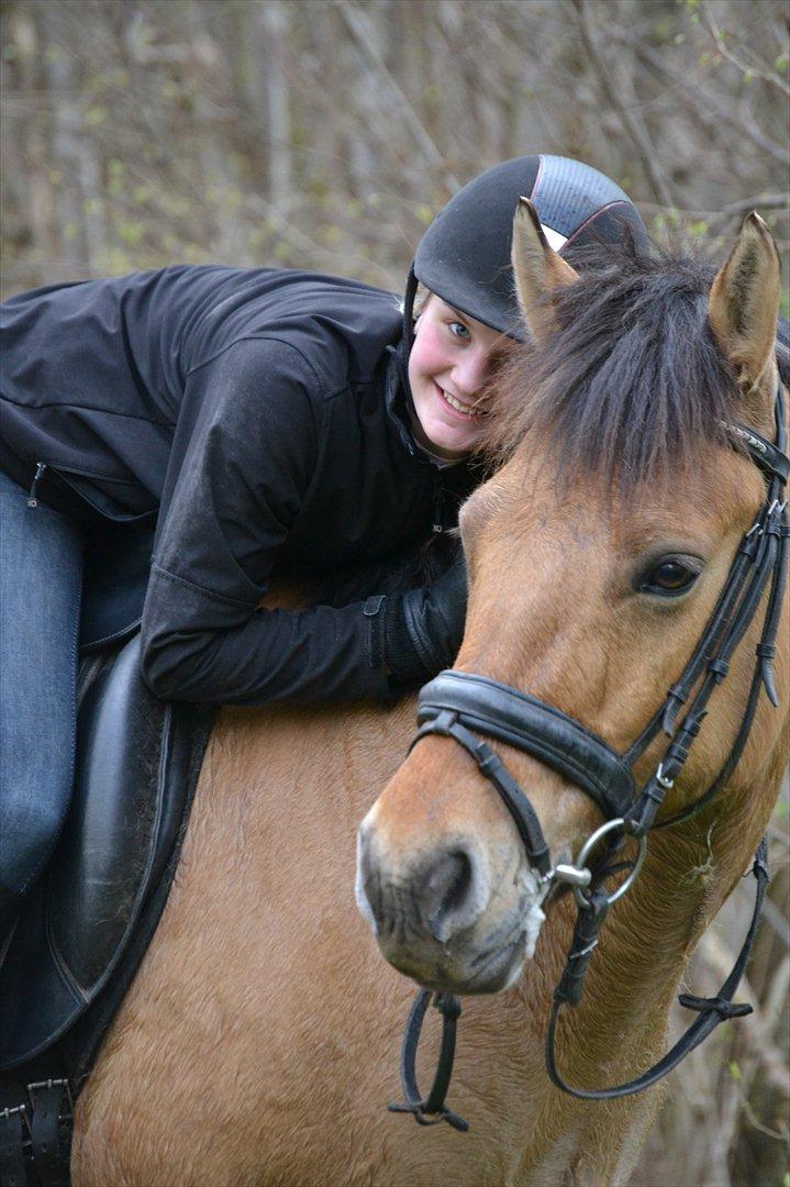 Anden særlig race Lukas -SOLGT - Velkommen til Lukas' profil!  billede 1