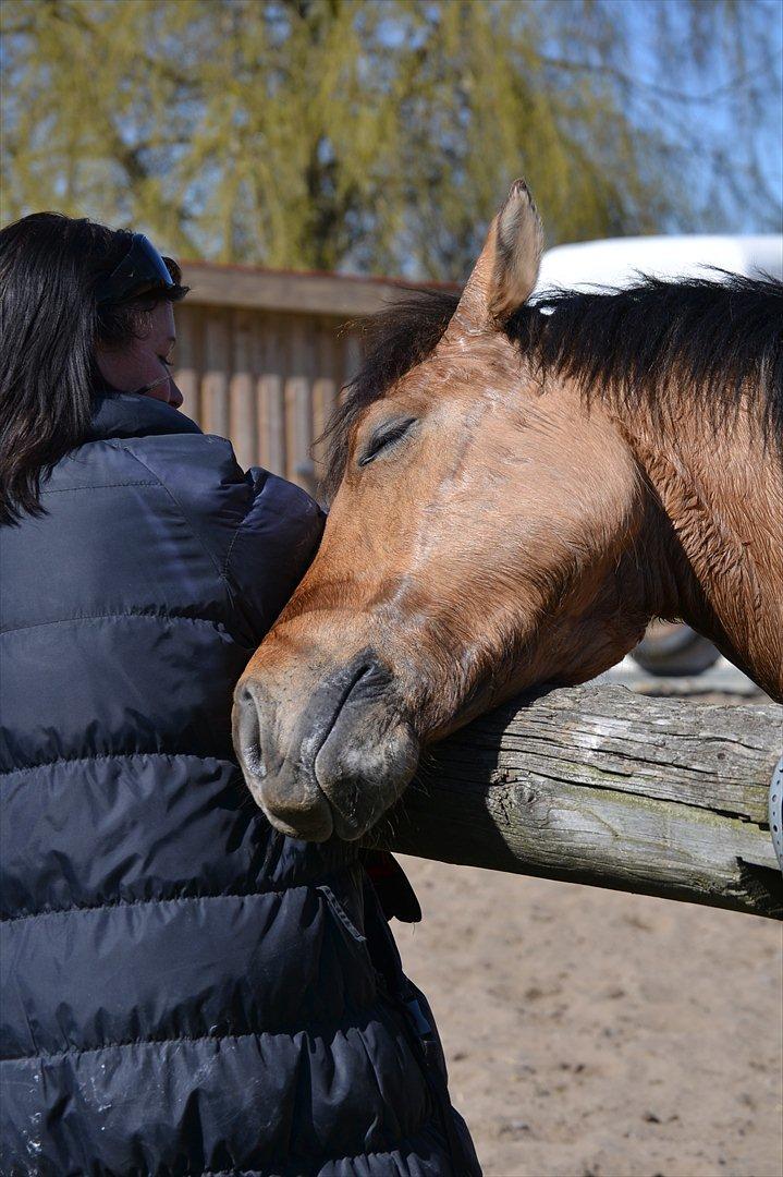 Anden særlig race Lukas -SOLGT billede 14