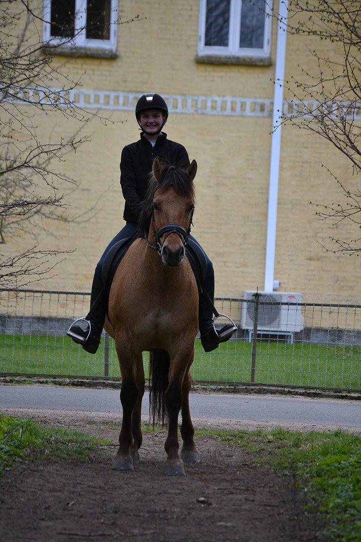 Anden særlig race Lukas -SOLGT billede 15