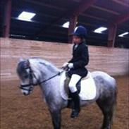 Dartmoor Godbjergs Nuggi<3<3