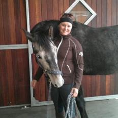 Dansk Varmblod Bugges Casino-Royal R.I.P