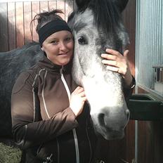 Dansk Varmblod Bugges Casino-Royal R.I.P