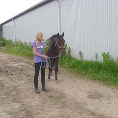 Connemara Tobæks Isabella <3