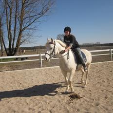 Anden særlig race • William