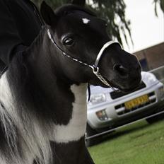 Dansk Miniature Pippi Langstrømpe