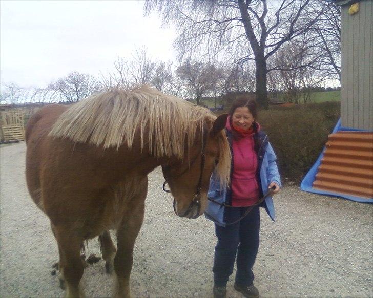 Anden særlig race Emmelie - 050412, første gang med hovedtøj billede 9