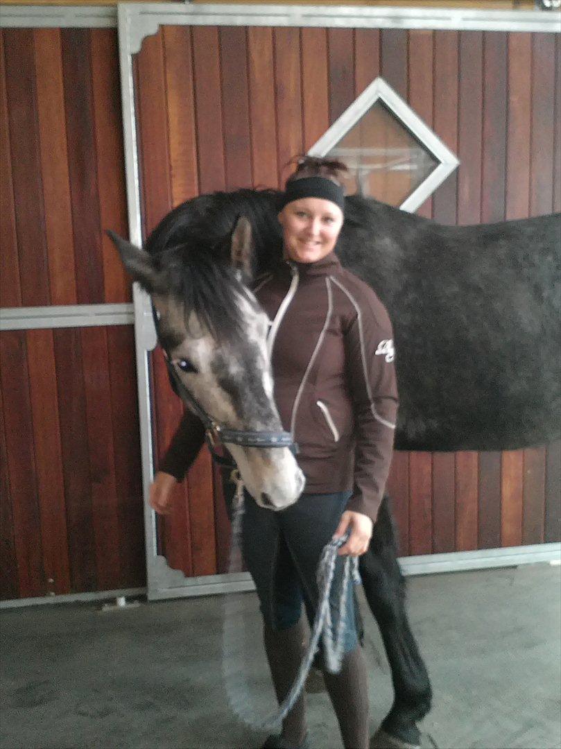 Dansk Varmblod Bugges Casino-Royal R.I.P - En frygtelig dag for os, men du vil ALTID være i mit hjerte dreng.. billede 2