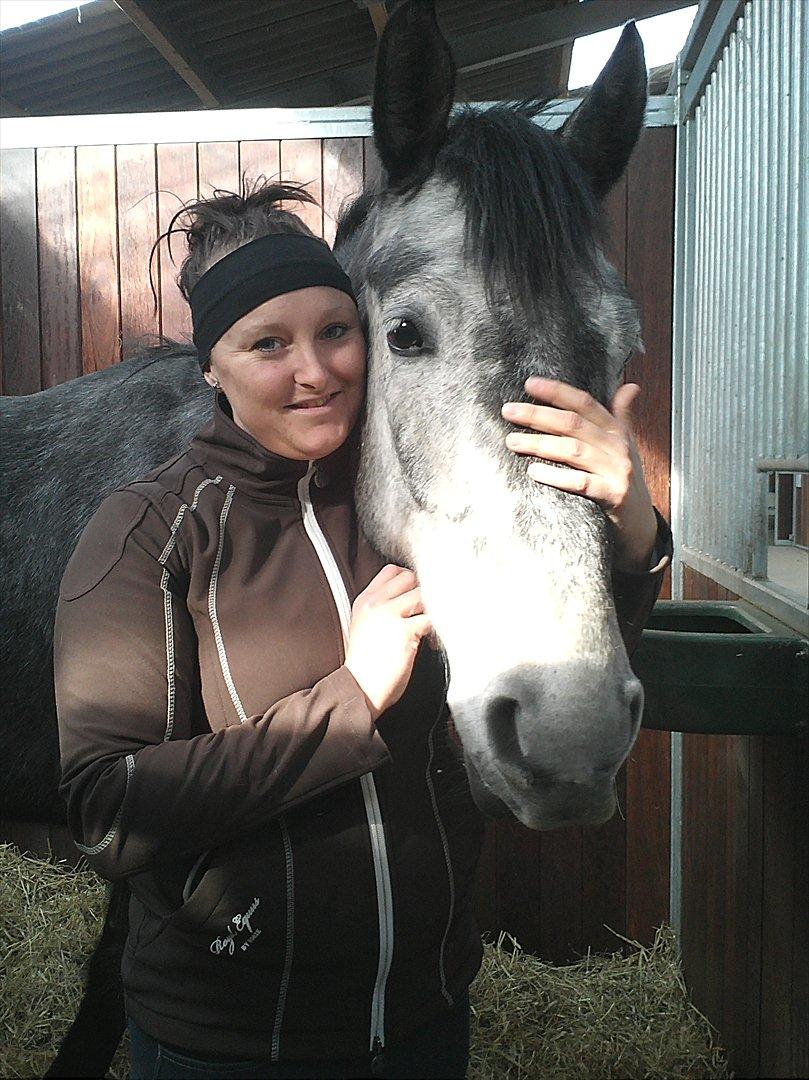 Dansk Varmblod Bugges Casino-Royal R.I.P - Min sidste minde om min fantastiske dreng.. R.I.P  <3 billede 1